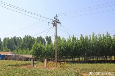 萊蕪供電公司線(xiàn)路升級(jí)改造 助力鄉(xiāng)村建設(shè)