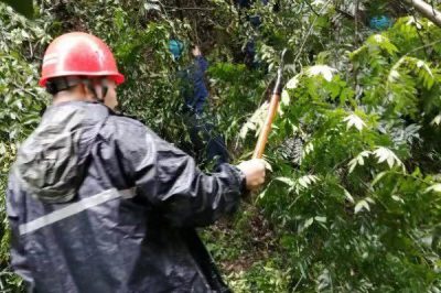 勉縣供電公司冒雨搶修斷裂導線奮戰(zhàn)5小時回復供電