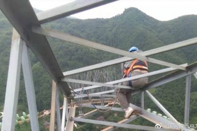 330千伏線路安裝防鳥刺，消除線路鳥害隱患