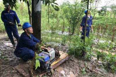 樂山電力搶修110千伏線路故障，迅速恢復(fù)供電