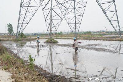 架設線路、安裝電纜引下線，解決農民秸稈焚燒問題
