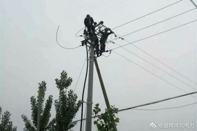 新河縣供電公司092西工線線路改造，更換大直徑絕緣導(dǎo)線