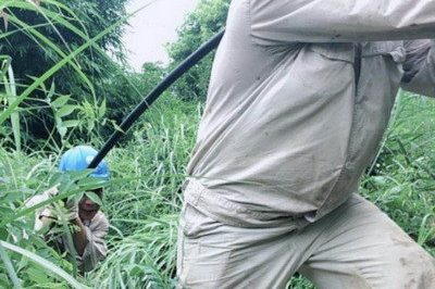 南川區(qū)供電公司緊急搶修被雷擊斷落在路上的10千伏鋒秧線8-10號(hào)桿A、C相