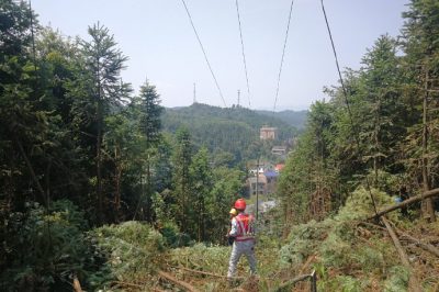 衡東縣電力公司開展甘農線通道治理