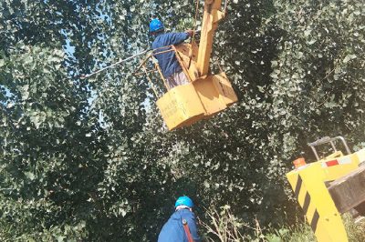 35千伏嚴(yán)西3822線路超高樹(shù)木進(jìn)行修剪