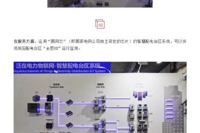 追求卓越電力，促進轉型發(fā)展