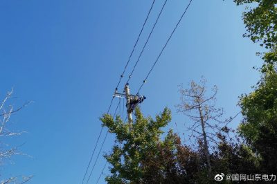 10千伏金華線1號更換開關  治理沿線用戶  安裝驅(qū)鳥器