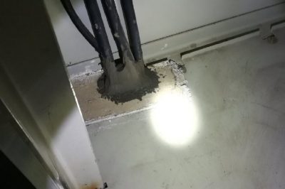 小動物，變電站非請勿來