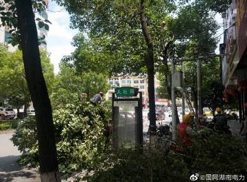 #向配網(wǎng)開戰(zhàn)#風(fēng)景這邊獨(dú)好，砍青掃障
