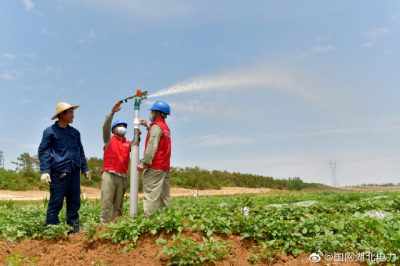 采用電氣化噴灌，節(jié)能又增收