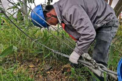 肇事拉線(xiàn)傷、電工搶修忙
