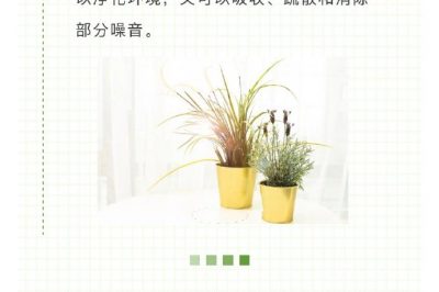 家里冰箱洗衣機(jī)噪音越來越大？讓它們安靜下來很簡單！
