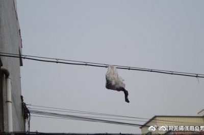 你的隨手一“拋”，可能導(dǎo)致跳閘停電！