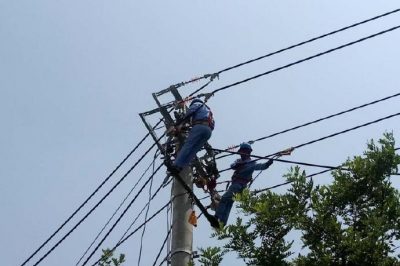 電網(wǎng)線路改造忙，迎峰度夏有保障