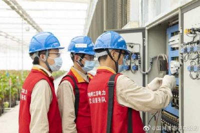 為大棚電力線路、電氣化設備進行縝密排查和整改消缺