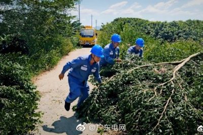 對轄區(qū)內(nèi)配網(wǎng)線路進行特殊巡視