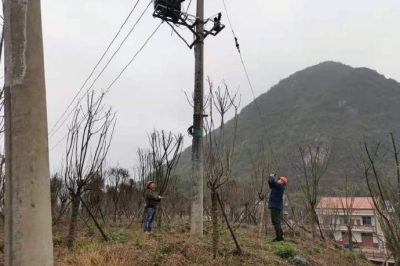 農(nóng)電檢修人員對(duì)小石線、高石線等10千伏線路進(jìn)行集中巡視測(cè)溫