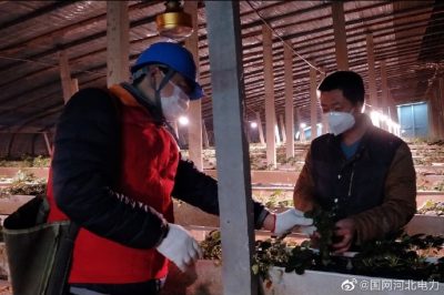 為果蔬大棚檢查供電線路、開關(guān)、照明燈具，以及水泵、卷簾機(jī)等設(shè)備