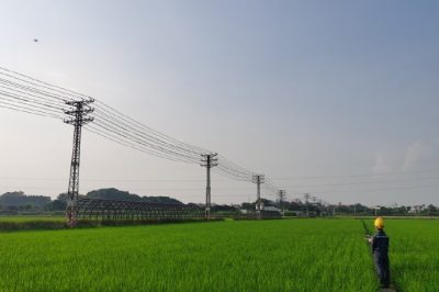 東莞東城周屋水稻示范區(qū) 開(kāi)展配網(wǎng)線路精細(xì)化巡檢